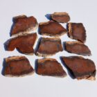 Barrel Cactus Moss Agate Rock #4