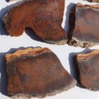 Barrel Cactus Moss Agate Rock #4