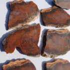 Barrel Cactus Moss Agate Rock #4