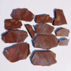 Barrel Cactus Moss Agate Rock #5