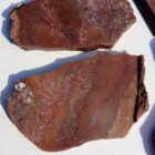 Barrel Cactus Moss Agate Rock #5