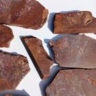 Barrel Cactus Moss Agate Rock #5
