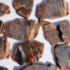 Barrel Cactus Moss Agate Rock #7