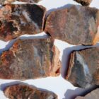 Barrel Cactus Moss Agate Rock #7