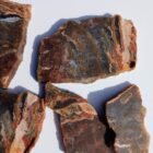 Barrel Cactus Moss Agate Rock #7