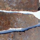 Barrel Cactus Moss Agate Rock #3