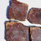 Barrel Cactus Moss Agate Rock #1