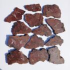 Barrel Cactus Moss Agate #6