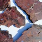 Barrel Cactus Moss Agate #6