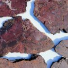 Barrel Cactus Moss Agate #6