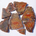 Mustard & Catsup Jasper