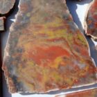 Mustard & Catsup Jasper