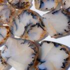 Montana Moss Agate