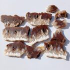 Wendover Plume Agate