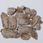 Silver Creek Junction Opalized Petrified Wood