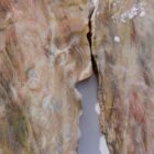 Silver Creek Junction Opalized Petrified Wood