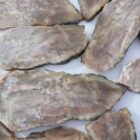 Silver Creek Junction Opalized Petrified Wood
