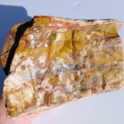Arizona Petrified Wood
