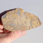 Hydrothermal Breccia