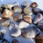 Botswana Agate