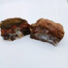 Mushroom Jasper
