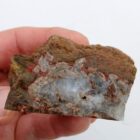 Mushroom Jasper