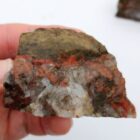 Mushroom Jasper
