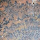 Cheetah Agate