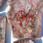 St. John's Flower Agate