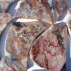 St. John's Flower Agate