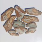 Owyhee Picture Jasper