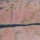 Rhodonite