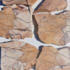 Unknown Jasper