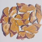 Mookaite Jasper