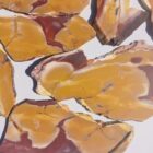 Mookaite Jasper