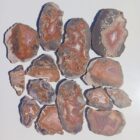 Dryhead Agate