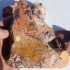 Indian Blanket Jasper Rough