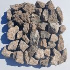 Turritella Agate Rough