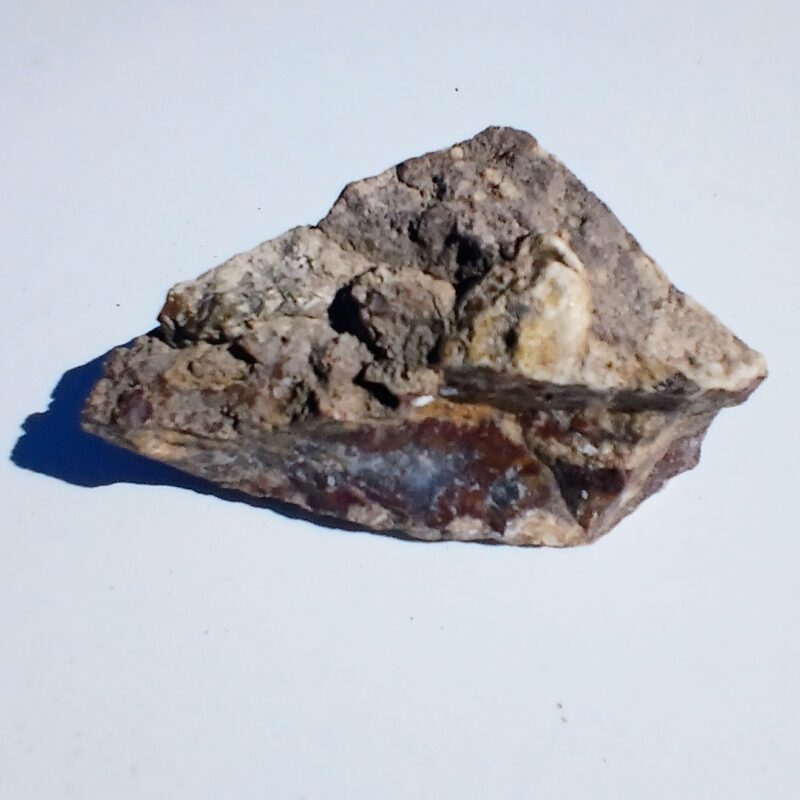 Carey Plume Agate Rough Carey Plume Agate Rough