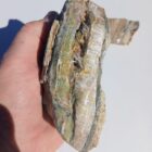 Green Cat's Eye Opal Rough
