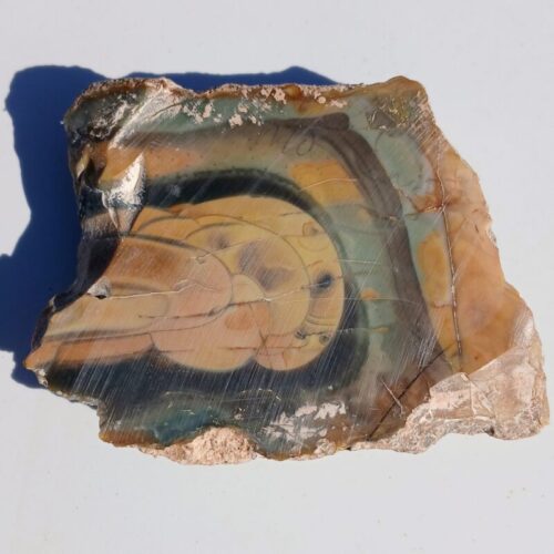 Morrisonite Jasper Rough