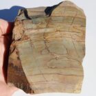 Succor Creek Picture Jasper