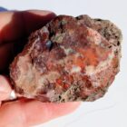 Unknown Agate Rough