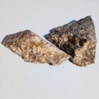 Leopard Skin Jasper Rough