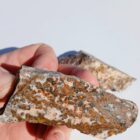 Leopard Skin Jasper Rough