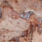 Marysvale Jasper Rough