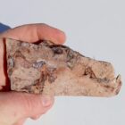 Marysvale Jasper Rough
