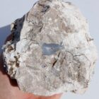 Unknown Agate