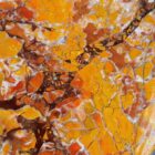 Stone Canyon Jasper