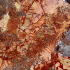 Cold Mountain Jasper